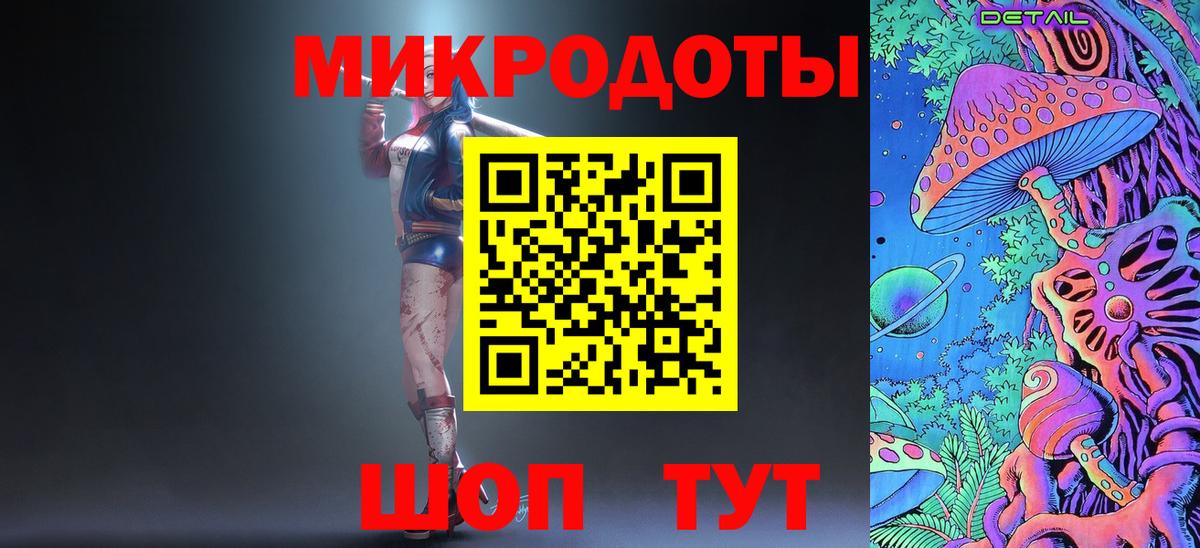 Псилоцибиновые грибы Psilocybe Нововоронеж
