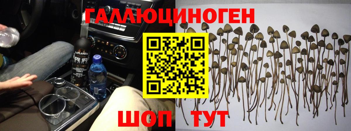 наркота  Вход с VPN  Нововоронеж  Псилоцибиновые грибы Cubensis  Галлюциногенные грибы прущие грибы 
